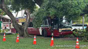 3 hurt after crash involving tour bus in downtown Miami: Authorities