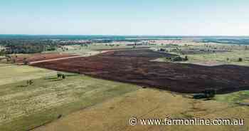 Fairymeadow district's Wandaloo, Wilgadale placed for feedlot opportunity