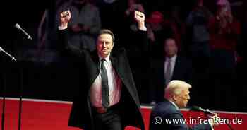 Trump offen für Kauf von Tiktok durch Musk