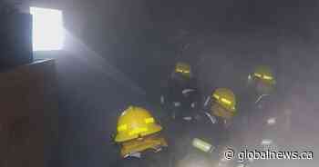 Firefighter Cancer Awareness Month spotlight’s WFPS’s commitment to prevention