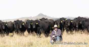 Are carbon market headwinds temporary in light of growing offset demand?