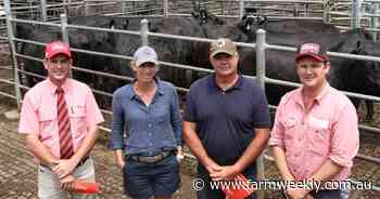 An increase in averages at beef female sale highlights market confidence