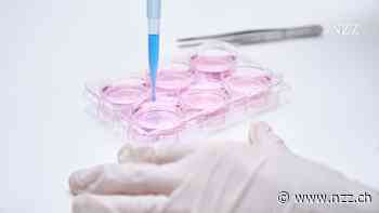 Trotz abschreckenden Beispielen will die Basler Biotechfirma Bioversys an die Schweizer Börse