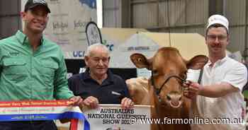Former Cats star Tom Hawkins star presenter at International Dairy Week
