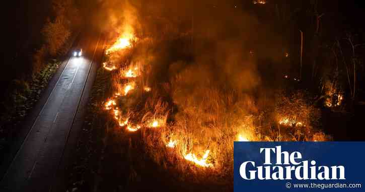 Brazil fires consumed wilderness area larger than Italy in 2024 – report