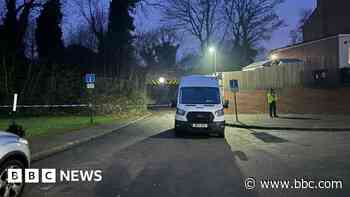 Teen arrested after boy, 12, dies in stabbing