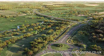 Bats come back to haunt Norfolk as ?274m scheme is shelved