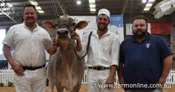 Brown Swiss stalwarts recognised with award at International Dairy Week
