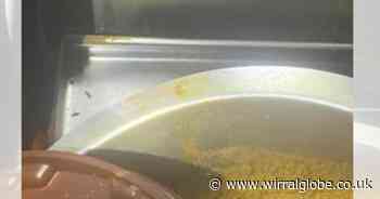 'Grim' image shows mouse droppings inside Wirral takeaway