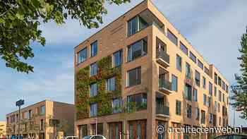 Haringlocatie, Delft