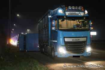 Aanhangwagen van pluimveetransport kantelt op autosnelweg