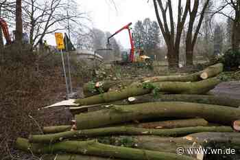 Der Prozessionsweg: Ein Juwel verschwindet