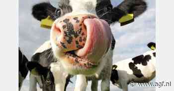 Greenpeace wint van Staat in stikstofzaak, Nederland op slot?