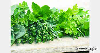 Private-equityfondsen tonen interesse in Spaanse Herbex