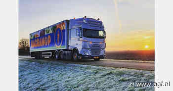 "Kalme wortelmarkt in afwachting van vraag uit Oost-Europa"