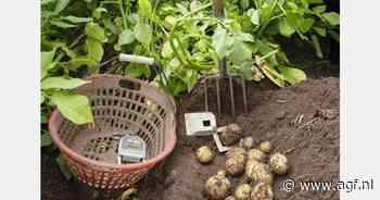 Schotland wil export van pootaardappelen uitbreiden en onderhandelt over terugkeer naar EU-markt