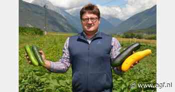 Tiroolse groenteteler breidt uit naar Roemenië