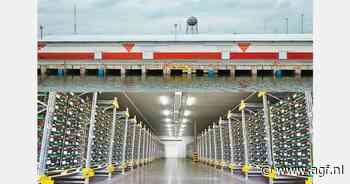 Ecuador opent eerste koelopslag om bananenexport te stimuleren