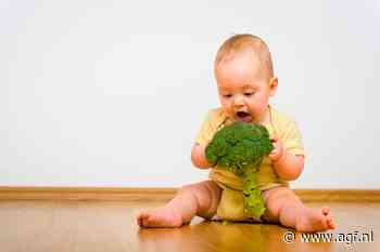 Gratis Baby Groente Tas roept discussie op