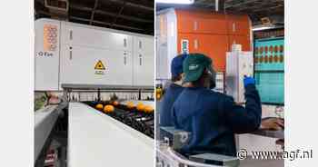 Betere diameterverdeling fruit dankzij AI