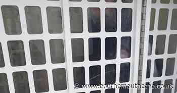 Shoplifter 'repeatedly kicked' a police car after being arrested