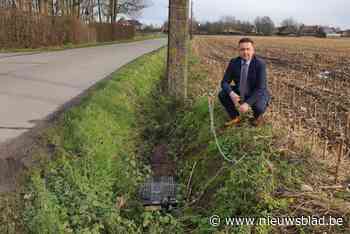 N-VA vraagt om duidelijk plan om stijgend aantal ratten te bestrijden