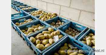 Nieuwe lijst met robuuste aardappelrassen