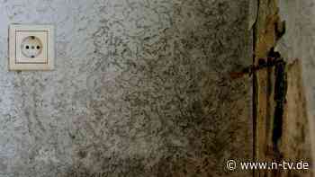Unliebsamer Mitbewohner: Schimmel entdeckt? So reagieren Sie richtig