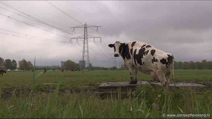 Flevoland - Nog onduidelijk wat stikstof-uitspraak betekent voor Flevoland