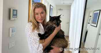 Kat Mittens maakt per ongeluk drie vliegreizen in 24 uur tussen Australië en Nieuw-Zeeland