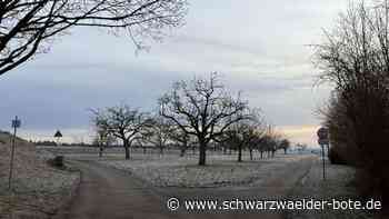 Feldwege in Mötzingen: Kosten bleiben erst einmal im Dunkeln