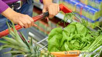 Offerista-Studie: Diesen Optimierungsbedarf hat der Veganuary noch in Deutschland