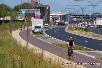 Nutswerken van Proximus aan Noordersingel: hinder tot 5 februari
