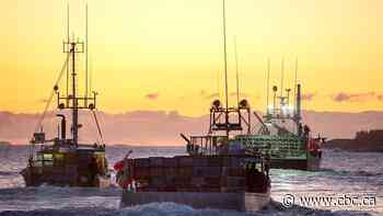 Federal government pitches $260M plan to increase First Nation fishing access