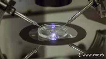 Report calls for IVF, better financial support for N.L. fertility services