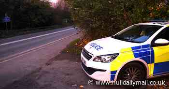 Five teenagers in custody after girl, 13, found with 'stabbing injuries' in Hessle