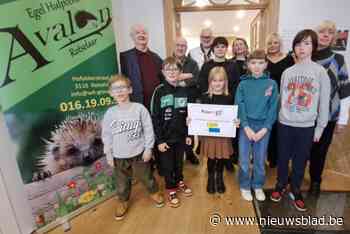 Egelhulpcentrum vangt steeds meer dieren op: “Ze belanden eerst op intensieve”