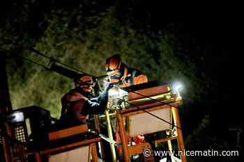 Mort d'un ouvrier sur un chantier SNCF à Toulon: le renouvellement des caténaires à l’arrêt