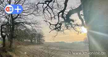 Solarpark Westensee: „Schade, dass unsere Natur auf diese Weise vollgepflastert wird“