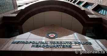 Police allege person who reported Toronto dog stabbing was the one who hurt dog