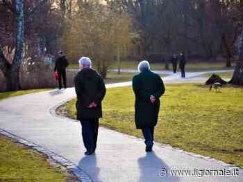 Lotta contro Alzheimer e Parkinson, sviluppati farmaci che invertono il declino cellulare