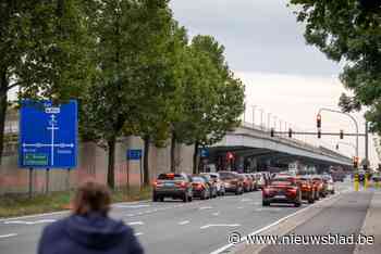 Viaduct op de A12 is “afgeleefd”. Profs vragen snelle maatregelen. Agentschap Wegen en Verkeer belooft snel ingrijpen