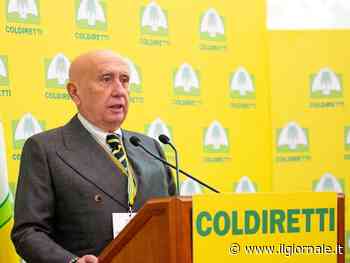 Scandalo lobby green, Coldiretti: "Su Timmermans pretendiamo trasparenza e chiarezza"