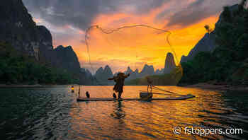 The Practical Advantages of Smartphone Cameras for Professionals