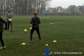 Voetbalclub Ekeren Donk krijgt hoogste kwaliteitslabel voor jeugdwerking: “Enorme beloning voor al onze investeringen”