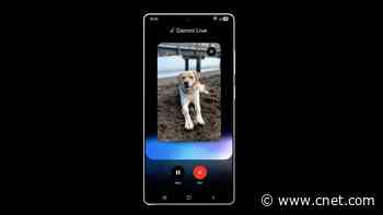 Samsung, Please Spare Me Gemini's Photography Tips