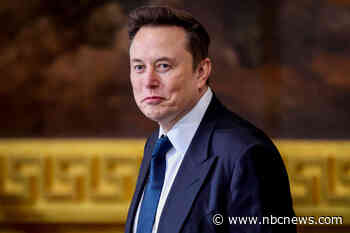 Elon Musk undercuts Trump's Stargate AI investment announcement