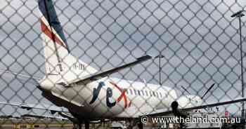 Government buys $50m worth of debt to keep Rex flying