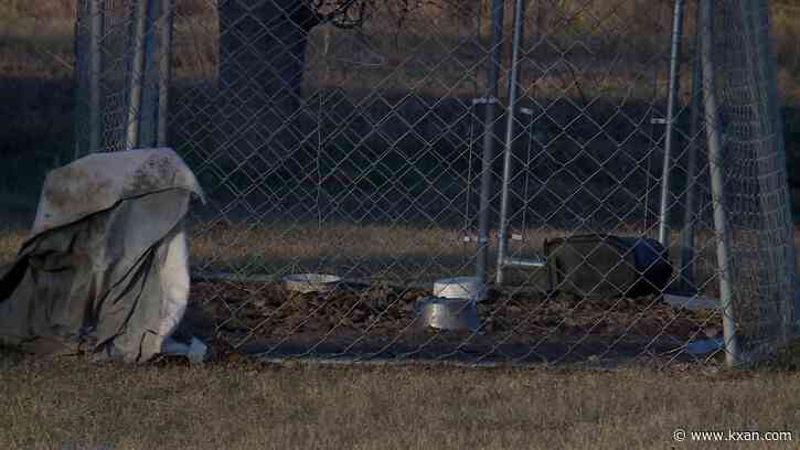 One dog dies, another rescued in Williamson County animal cruelty case