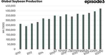 Is the oilseed market really bullish asks Episode 3 analyst, Andrew Whitelaw